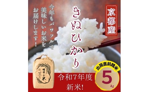 ys{Osz[5334-0656]ߘa7NYV LkqJ 5kg () ĉ