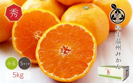 ya̎Rxcza̎RY B݂ Gi STCY 5kg [Sn4]