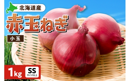 【北海道札幌市】赤玉ねぎ 北海道産 小玉 1kg SSサイズ以上
