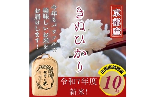 ys{Osz[5334-0657]ߘa7NYV LkqJ 10kg () ĉ