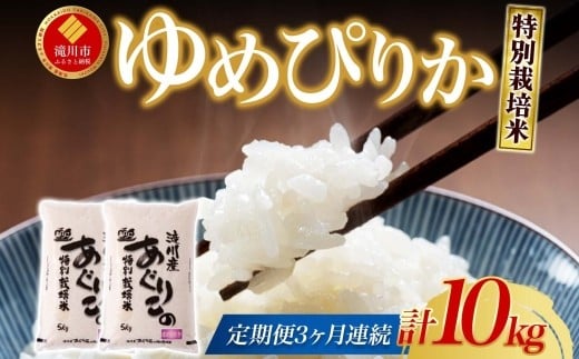 ykCszߘa7NY kCY ʍ͔|߂҂肩 10kg 3A bkC s     ߂҂肩 sJ ʍ͔|  A͂