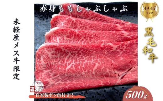 yޗǌFɎszјa߂ Ԑg Ԃԓ 500g Ɛ||t ^Ԃ ӂ邳Ɣ[ јa    Ε  Mtg a Hו ޗǌ FɎs 