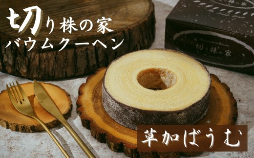 yʌsz΂ށE ؂芔̉ ƐoEN[w | oE oEN[w XC[c  ؂芔̉ ʌ s