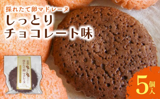 【高知県南国市】マドレーヌ しっとりチョコレート 5個入 | チョコ チョコレート 焼き菓子 お菓子 おかし 家庭用 ギフト 包装 スイーツ 人気 おすすめ たまご 卵 高知県 南国市