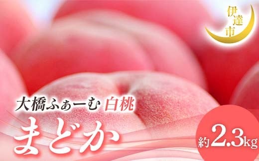 yɒBszy2026Noוs\zY ܂ǂ 2.3kg (7`9) 勴ӂ[ 蕨  Mtg ɒB̓  t[c ʕ   momo F21C-014