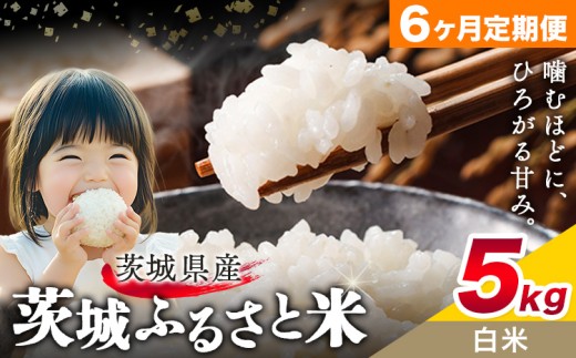 y錧sz  ӂ邳ƕ  5kg 5kg×1 6񂨓͂ ցs\݌̗Xo׊Jnt錧 s  Y   ٓ ɂy錧ʕԗiz