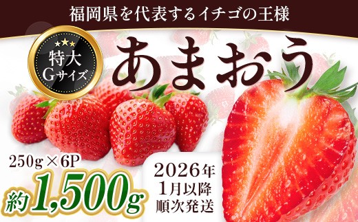 yԑzY ܂ 1500gOi250g×6j1`3 3KC3