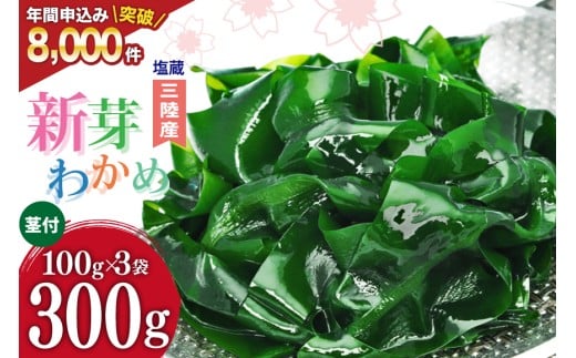 y{錧Cszyt񂩂̂킯zV킩 300g(100g×3) [ނ {錧 Cs 20564375] 킩 J  C Y O X`  O킩