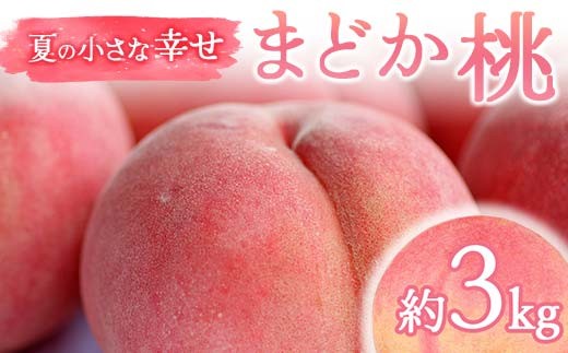 yɒBszy2026Noוs\zY ܂ǂ 3kg (9`12) ̓_ƃyVFG Ă̏ȍK ɒB̓  t[c ʕ   momo F21C-069