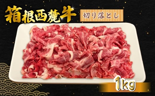 yÉOsz[ ؂藎Ƃ 1kg Ouh F苍  Y Y 