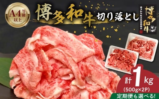 yvĎsza؂藎Ƃ 500g×2pbN_a ؂藎Ƃ Iׂ    јa Y BY Y Y uh  a   Ԑg  | T