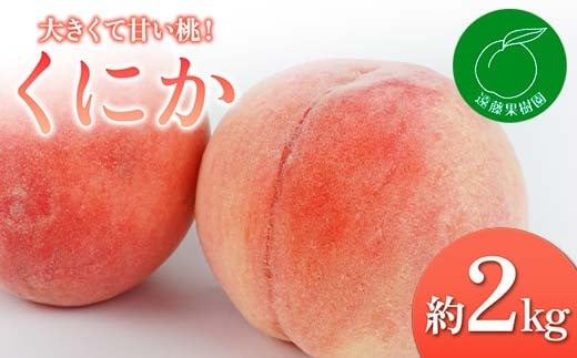 yɒBszy2026Noוs\zY ɂ 2kg (5`9) ʎ 蕨  Mtg ɒB̓  t[c ʕ   momo F20C-830