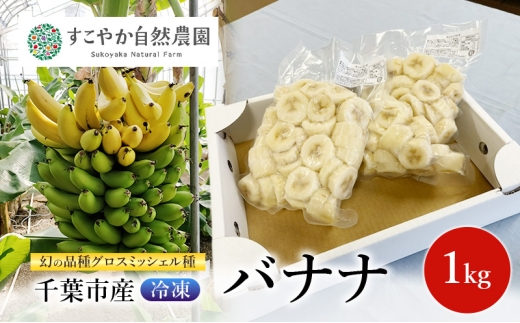 ⚠︎ハナ商品 幻の品種 グロスミッシェル種 千葉市産 冷凍バナナ 1kg バナナ 果物