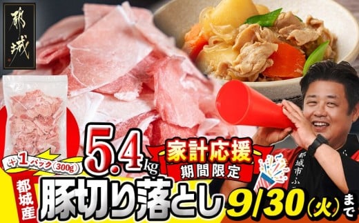 都城産豚切り落とし5.1kg