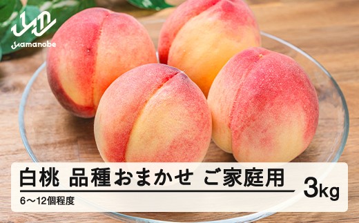 山形県産桃【川中島白桃】ご家庭用3kg箱 山形県産桃【