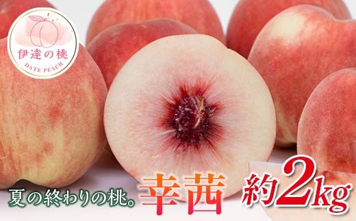 2026年出荷分先行予約】福島県産 幸茜 約2㎏ (5～8玉) 斎藤果樹園 さち