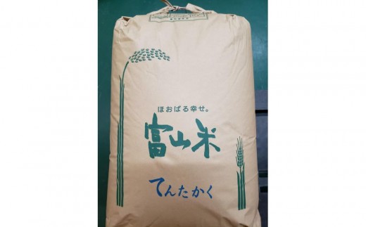 令和7年産】みどりふぁーむのてんたかく 玄米 30kg - 富山県南砺市 