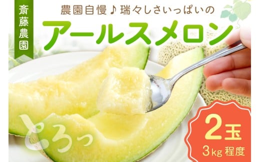 メロン農家直送　　訳あり7玉入り　　糖度は十分あります item1906.jpg