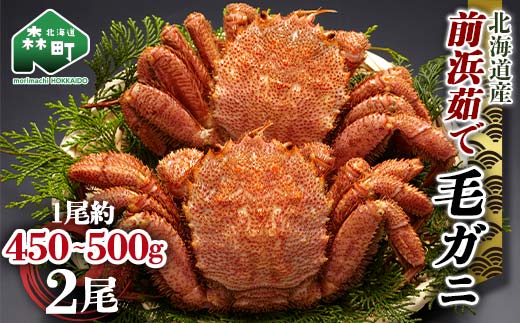 ykCXzy12/27~12/31ɂ͂zkC уKj eʂIׂ Ol䥂Ŗт 450g~500g 2  Jj I Kj  X ъI т т уJj уKj mr1-1107
