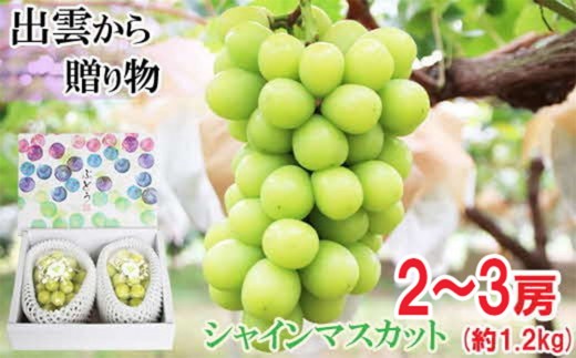 yo_szy2026N9{ȍ~z[_ƒ]IVC}XJbg1.2kg[c_]