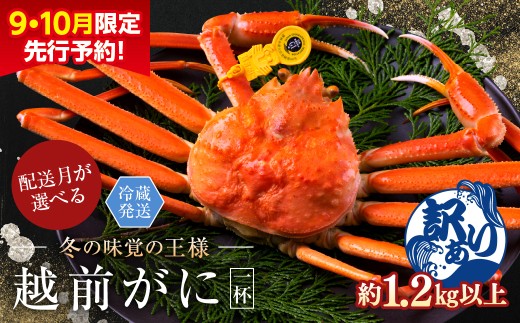 y䌧zOszyNEwzys\ 910zzOɁiIXju킢ɁvTCYi1.2kgȏj 󂠂 1t