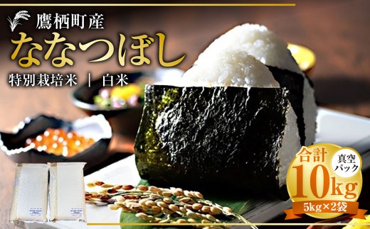 ykC鐲zyߘa7NYz ȂȂڂ iāj ^pbN 5kg×2 10kg kC 鐲 ^t@[  R     ȂȂڂ R