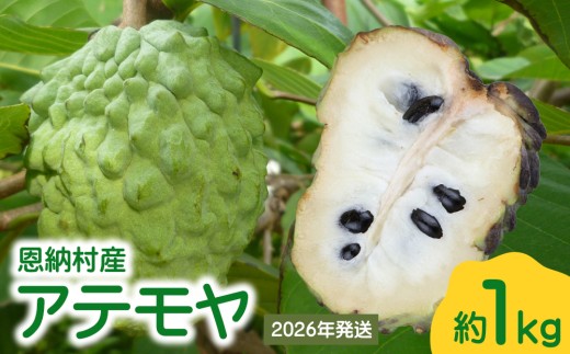 2026年発送】恩納村産アテモヤ 約1kg - 沖縄県恩納村｜ふるさと
