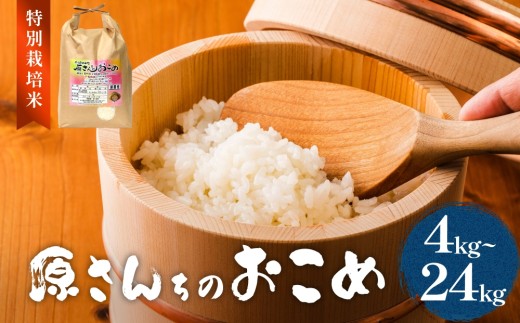 令和7年度産 原さんちのお米 選べる 合計 4kg - 24kg ヒノヒカリ 特別