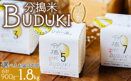 分搗米「BUDUKI」ひめの凜 2合入り×3個/6個（900g/1.8kg）＞ ひめの