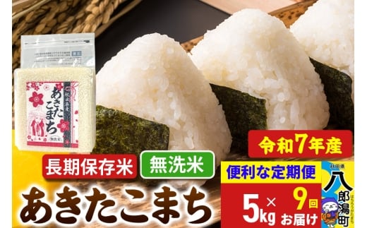 yHcYzs9tyVāz ܂ ۑ 5kgyāzߘa7NY HcY ܂C