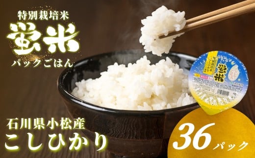 yΐ쌧szwuāx pbN͂180g×36 ʍ͔|ĂЂ pbN pbNCX RVqJ 36H ΐ쌧 sY  hЗp 024026