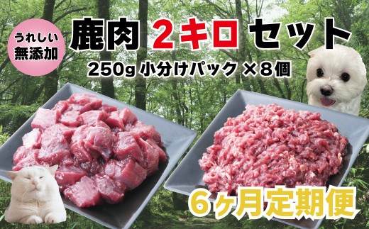 yRqzy6ցz X̃WrG for PET  2kg ybgt[h  L A-JK-C01A