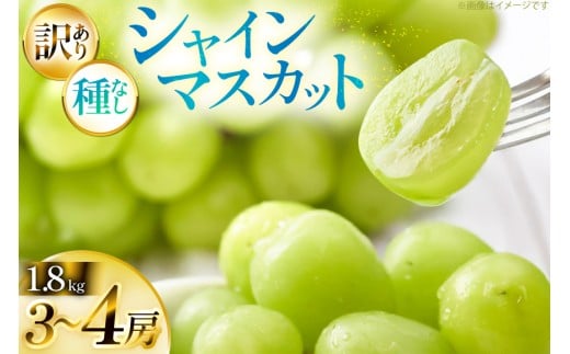 yR`zyԌ蔭z VC}XJbg 󂠂 3?4[ 1.8kg [Yamagent[cK[fRg R`  tk06ayt380004] ƒp Ԃǂ uhE  t[c ʕ  1