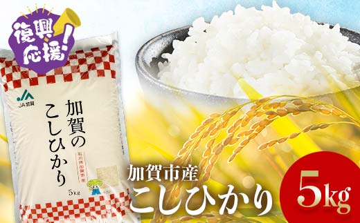 yΐ쌧szyʏ픭z ߘa7NYЂ 5kg F6P-2918