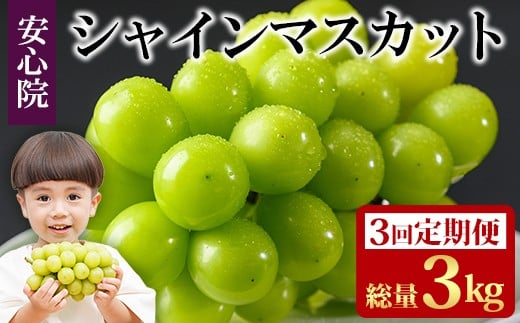 y啪FszցES3(A)VC}XJbg(3kgE1kg×3)t[c ʕ  Ԃǂ S@ lC LOs\tI2026N8{菇\聄kC