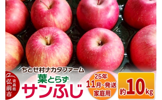 【青森県弘前市】【25年11月発送】りんご【家庭用】葉取らずサンふじ 約10kg