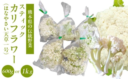 yF{VszS150-006-sku_XeBbNJt[ (Vꍆj