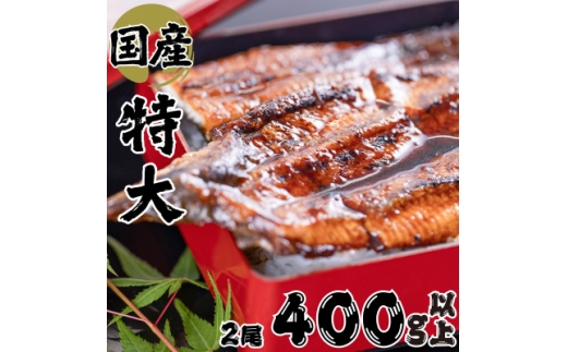 【大阪府和泉市】絶品!!国産うなぎ蒲焼き 特大サイズ(2尾×約200g)【1668045】