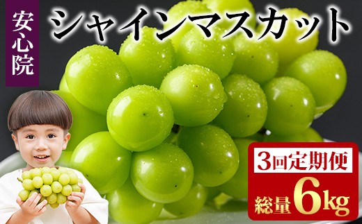 y啪FszցES3(A)VC}XJbg(6kgE2kg×3)t[c ʕ  Ԃǂ S@ lC LOs\tI2026N8{菇\聄kC