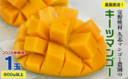 yꌧXzy2026Nz_IX@vu}S[_̃L[c}S[1ʁi800gȏj t[c Â     Mango LO 傫  蕨
