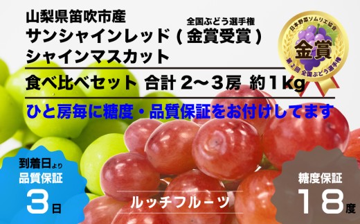 2025年発送】サンシャインレッド食べ比べセット 約1kg 2～3房