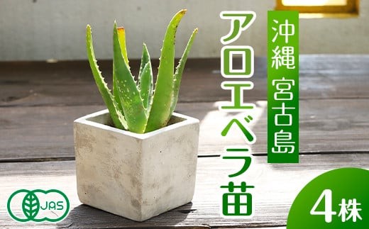 yꌧ{ÓszAGx c 4 E{ÓYbL@JAS ϗtA