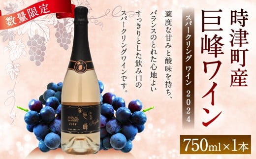 y茧ÒzÒY Xp[NOC 2024 750ml