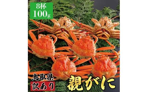 【鳥取県八頭町】【ボイル】訳あり親ガニ(セコガニ) 100g 8杯