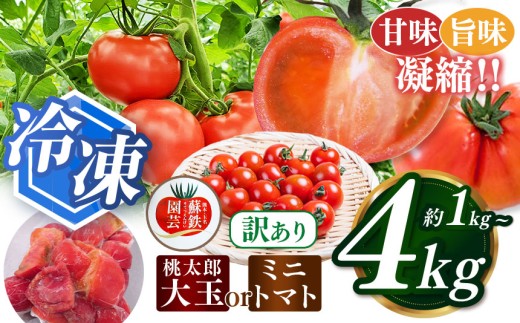 yF{ʖsz󂠂 Iׂ  e Ⓚ Yg}g 1kg 2kg 3kg 4kg ~jg}g 1kg 2kg | Y Yg}g ~jg}g 󂠂 Ⓚ { F{ ʖs