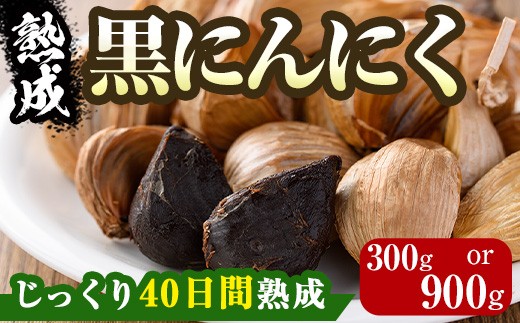 y쌧܂̂zIׂeʁ쌧Y n ɂɂ(300gE900g) Y Y 쌧Y ɂɂ jjN K[bN  Hi  yman046-ABzyAglio neroz