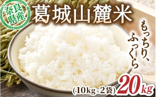 yޗǌszs\ R[ qmqJiājv20kg [ 10kg×2 ] ߘa7NY y2025N10{`z^ X}C_  ͂    ӂ _ƒ 