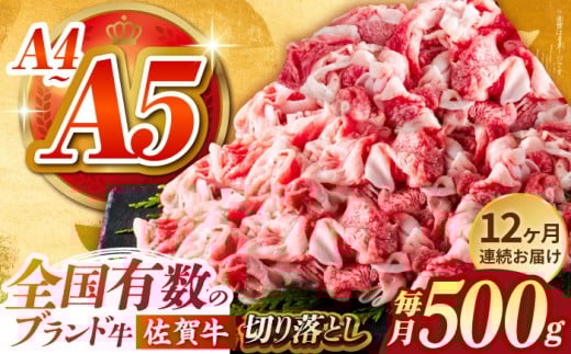 yꌧ]kzylXȗɎg₷zS12ցꋍ؂藎Ƃ 500gy΂t[Yzꋍ A5  ؗƂ ؂藎  a јa  Ⓚ 肨Ƃ   12