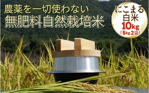 米 令和7年産 自然栽培米 にこまる ＜農薬を一切使わない無肥料栽培