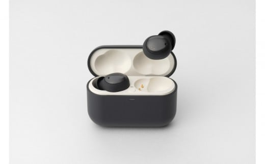 極小ワイヤレスイヤホン final ZE500 for ASMR 【カラー選択可